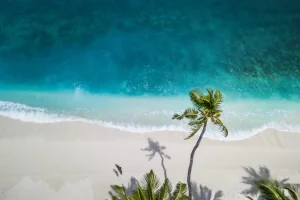 Capture d’écran ou illustration d’un calendrier Outlook avec une notification de message d’absence programmé